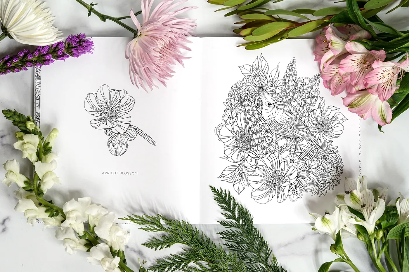 Botanical Themes